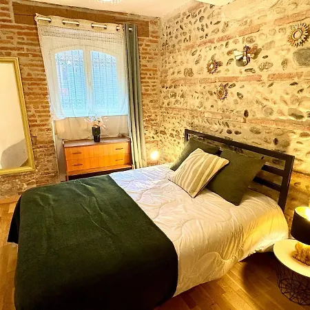 Hypercenter Apartment Toulouse